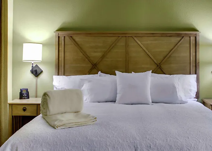 Hotel Homewood By Hilton Austin/round Rock 3*