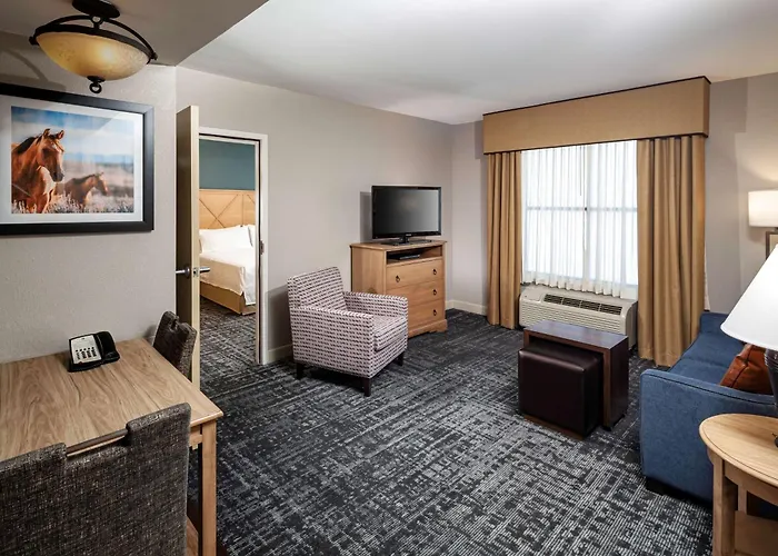 Hotel Homewood By Hilton Austin/round Rock