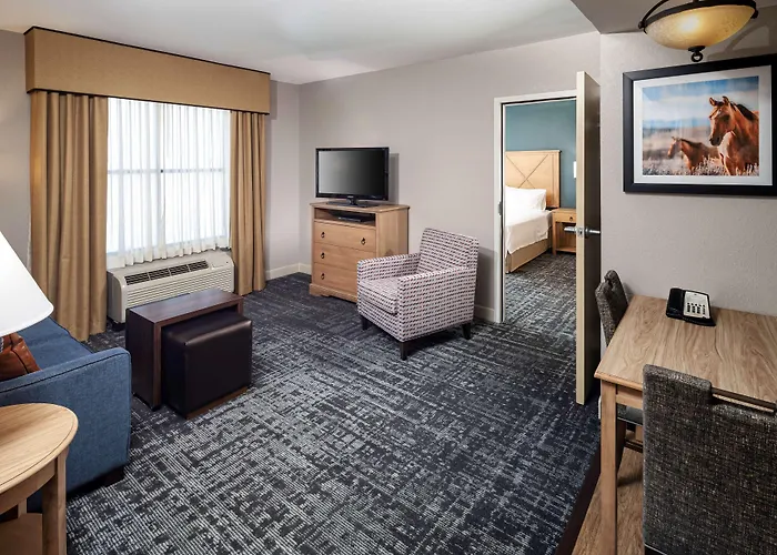 Hotel Homewood By Hilton Austin/round Rock